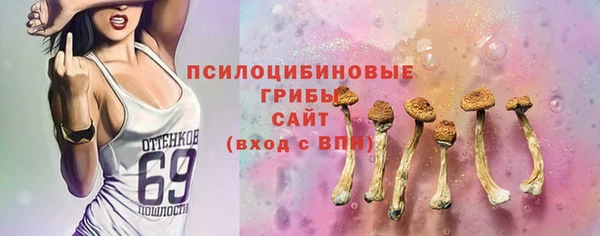 прущая мука Алексин