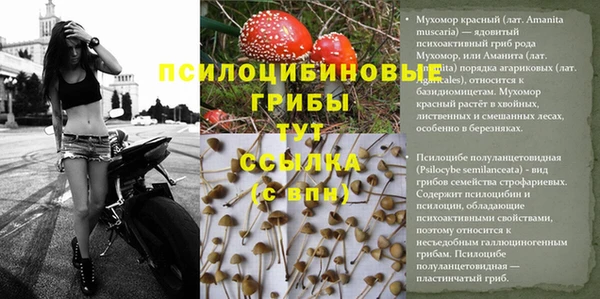 прущая мука Алексин
