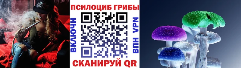 blacksprut маркетплейс  купить закладку  Тосно  Псилоцибиновые грибы ЛСД 
