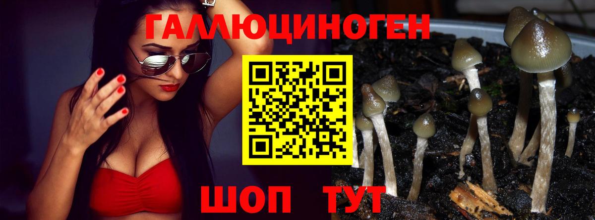Псилоцибиновые грибы мицелий  Вход с VPN  Тосно 